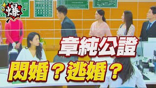 《多情大爆爆》多情城市 EP263 章純公證 閃婚？逃婚？
