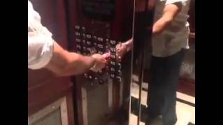 Vine #28 [Elevator]