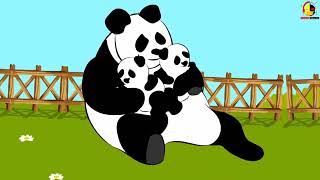 เพลงหมีแพนด้า Panda song