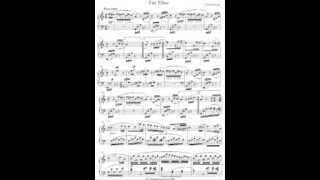 L. van Beethoven - Für Elise - Gerard van Reenen, clavichord