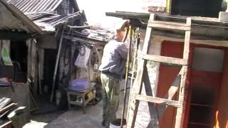 Будапештские голуби 3