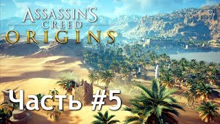 Прохождение Assassin's Creed: Origins / Истоки — Часть 5: Оазис Сива. Возвращение домой.