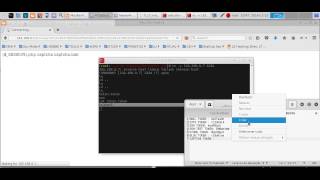 Pentestit - Lab v10 - 08 CAPTCHA Token