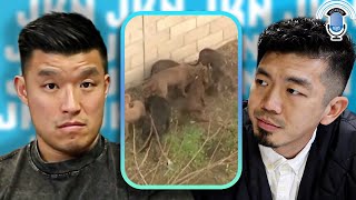 Backyard Breeder Gets Eaten by 15 Pit Bulls