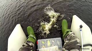 Pike & perch fishing with lures: bright vs dark side by side test. Рыбалка: окунь и щука на воблер.