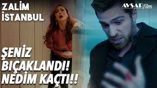 Şeniz'e Ne Oldu? Nedim Neden Kaçtı?? - Zalim İstanbul 28. Bölüm