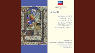 J.S. Bach: Mein Jesu Was Fur Seelenweh Bwv 487