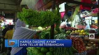 Mendag Cek Harga Sembako, Beras Turun Telur Masih Tinggi
