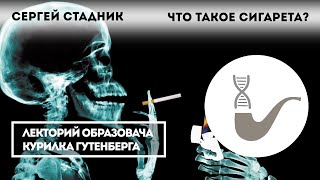 Сергей Стадник - Сигареты и табачная промышленность