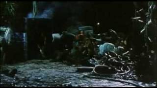 The Cat (clip)