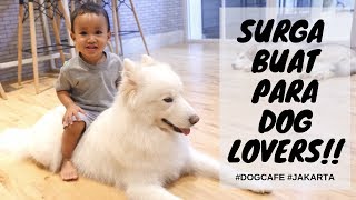 MAIN SAMA DOGGY SEPUASNYA - PUPPY CUBE DOG CAFE JAKARTA - FEB 2019 // MAMASAKA JALAN // VLOG #4