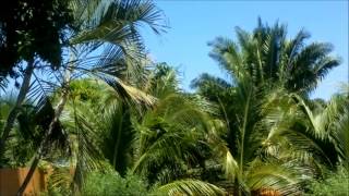 Camara De Nokia 603 (testing)
