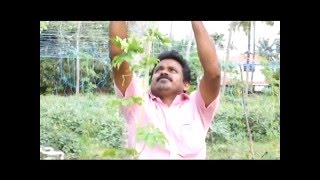 An Exclusive on the Best Farmer Award Winner in Kerala