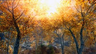 Skyrim Special Edition - Пейзажи