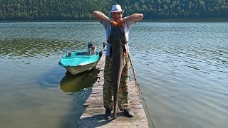 Сом на квок на Павловском водохранилище Fishing for catfish on Kwok