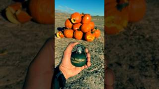 Grenade vs Pumpkins