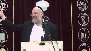 הרב רוזנבלום טו בשבט בשלח ימי השובבים 3 סגנון מיוחד! rabbi rosenblum beshalah shovavim to bishvat 3