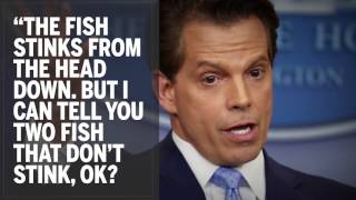 The 6 most unusual quotes from Anthony Scaramucci’s CNN interview