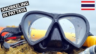 Coral Island - WATER SPORTS IN PATTAYA (Under Rs.5000) | Thailand Travel Vlog | Trishit Saha