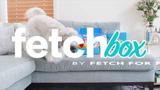 FetchBox by Fetch for Pets