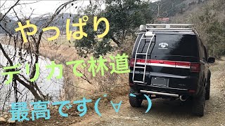 デリカD5 久々に恥ずかしかった林道散々…