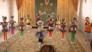 Рауан 2014 Песня "Кошка беспородная" д/с №53