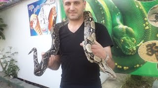 KAREN ADILYAN...Ճիճվային հիվանդություններ  ախտանշաններն ու բուժումը.CHICHUNER HELMITNER
