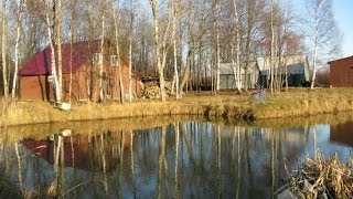 База отдыха "Белкина Грива", Костромская область