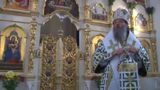 Первая годовщина канонизации святого праведного Петра Калнышевского. Слово Владыки Луки