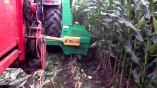 La tachuela corte de maiz para silos