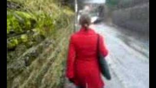 Hayley's Monkey Scream 2