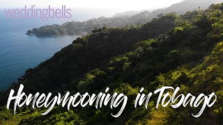 Explore the Untouched Island of Tobago With Us!