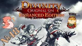 Прохождение Divinity Original Sin Enhanced Edition Серия 48 "Проникновение в сокровищницу"