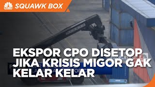 Ekspor CPO Bisa Disetop Jika Krisis Migor Tak Kelar