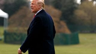 Trump accuses Amazon of ripping off US postal service