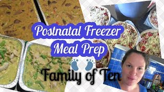 Postnatal Freezer Meal Prep| Family of Ten