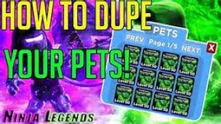 HOW TO DUPLICATE PETS IN NINJA LEGENDS!! (WORKING METHOD) ROBLOX