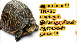 TNPSC இல்லத்தரசிகள் ஆமைகள் தான் !!!