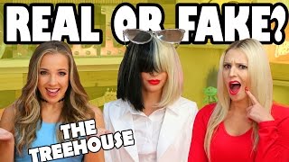 Real or Fake and who's in the Hot Seat? The Treehouse Show from Totally TV