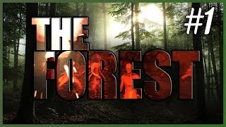 DayZ+Minecraft = The Forest? - Геймплей/Прохождение #1