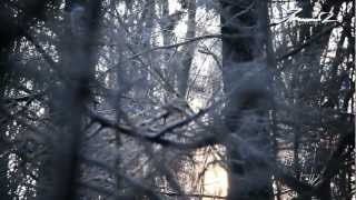 Алсу - Зимний сон