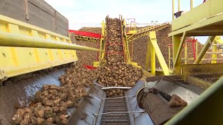 Что с сахаром в Беларуси: нет ли его дефицита? Как делают продукт на заводе?