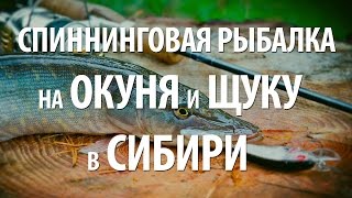 РЫБАЛКА на ЩУКУ и ОКУНЯ на СПИННИНГ в СИБИРИ