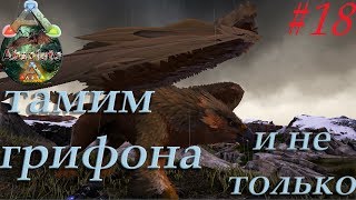 ТАМИМ ГРИФОНА И НЕ ТОЛЬКО //ARK Survival Evolved\\ Absolute Ark Ragnarok
