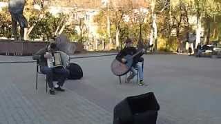 "Афробандерівці": "Висить ябко, висить"