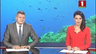 Дайверы-археологи нашли в Беларуси следы войск Наполеона