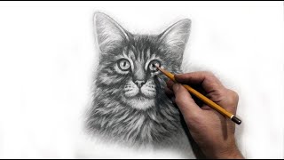Как нарисовать кошку карандашом, рисуем мордочку кошки спереди 2