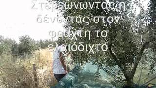 ΕΛΑΙΟΔΙΧΤΟ ΑΡΑΧΝΗ Βίντ.3