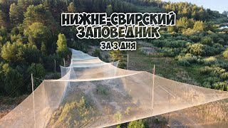 ТРИ ДНЯ С ПТИЦАМИ В ЗАПОВЕДНОЙ ГЛУШИ.