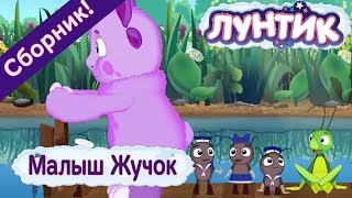 Лунтик ? Малыш Жучок ? Сборник мультфильмов